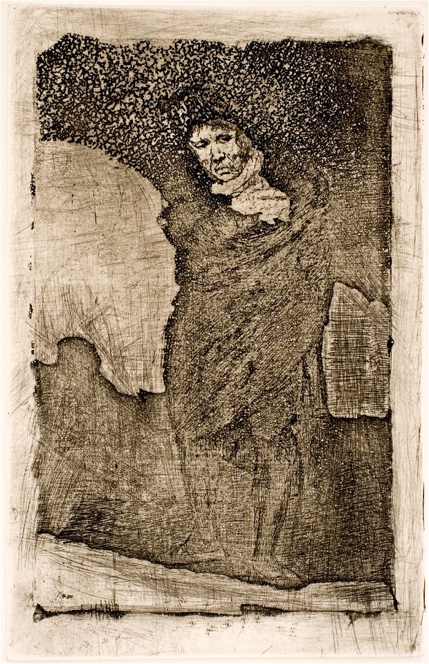 Goya The cloaked