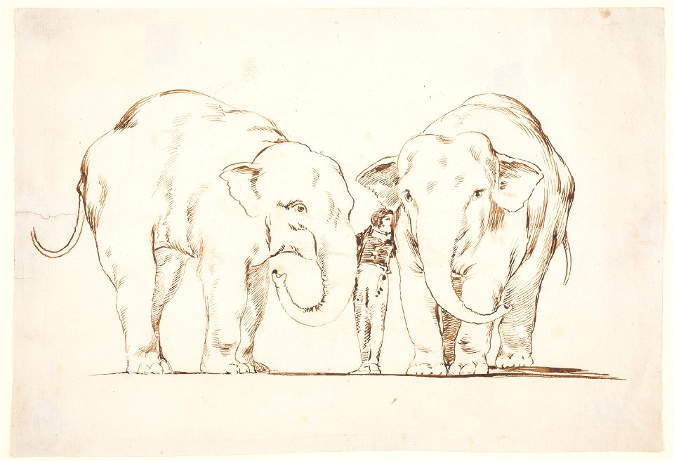 Goya Los elefantes (Disparate de bestia) drawing
