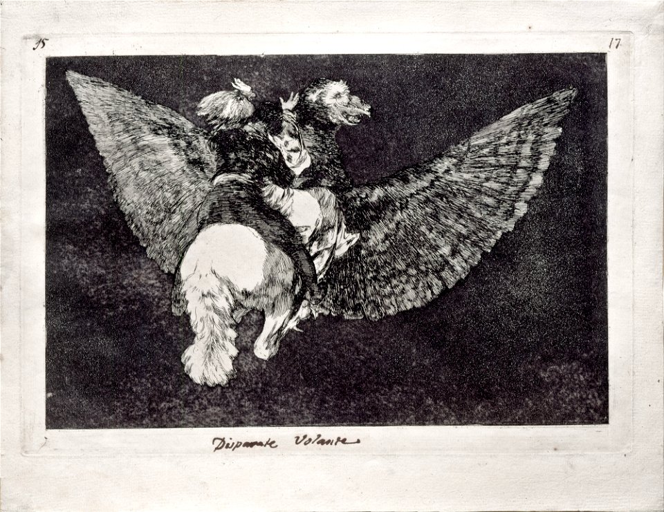Goya y Lucientes, Francisco de - Flying Folly - Google Art Project