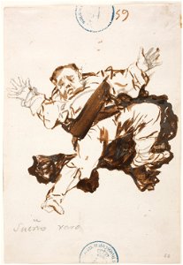 Goya - Sueño raro, D04049