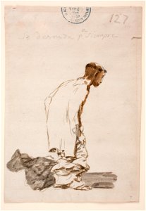 Goya - Se desnuda para siempre, D04109