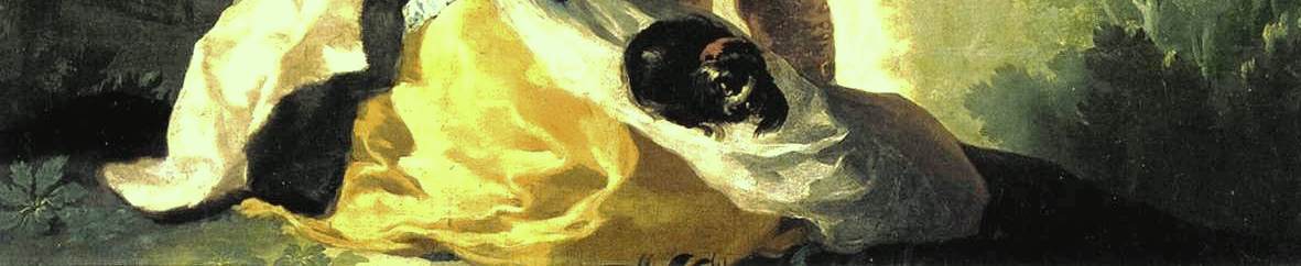 Goya, o guarda-sol2