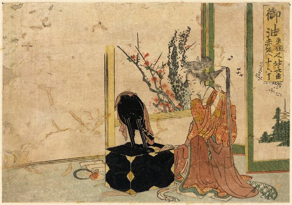 Goyu LCCN2009615341