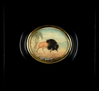 Goyena family - Bisonte con palmeras (Bison with Palm Trees) - 1996.91.16 - Smithsonian American Art Museum