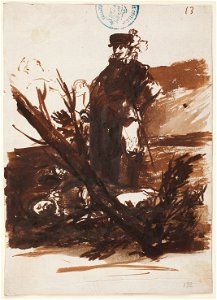 Goya -Vencedor sin testigos, D04038