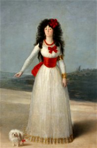 Goya Alba1