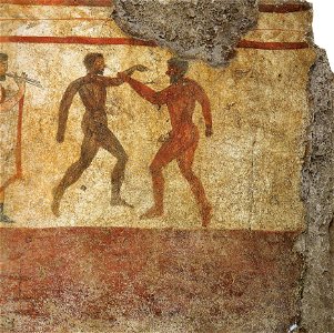 Grab des bunten Hahnes Boxkampf