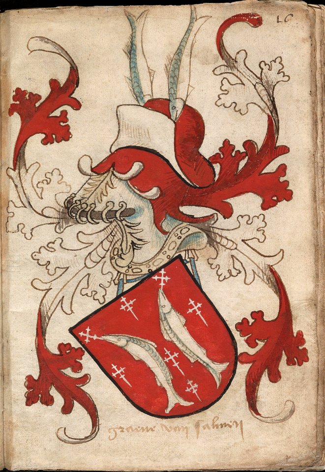 Graeue van Salmen - Graaf van Salm - Count of Salm - Wapenboek Nassau-Vianden - KB 1900 A 016, folium 16r