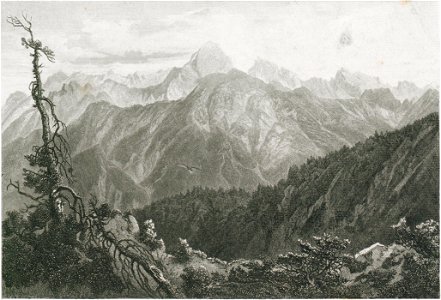 Grafika Mangarta