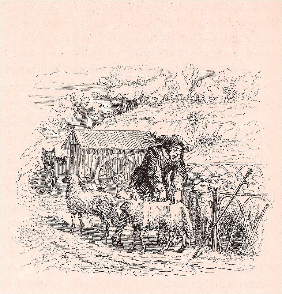 Grandville - Brebis comptées le loup les mange