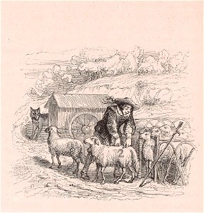 Grandville - Brebis comptées le loup les mange