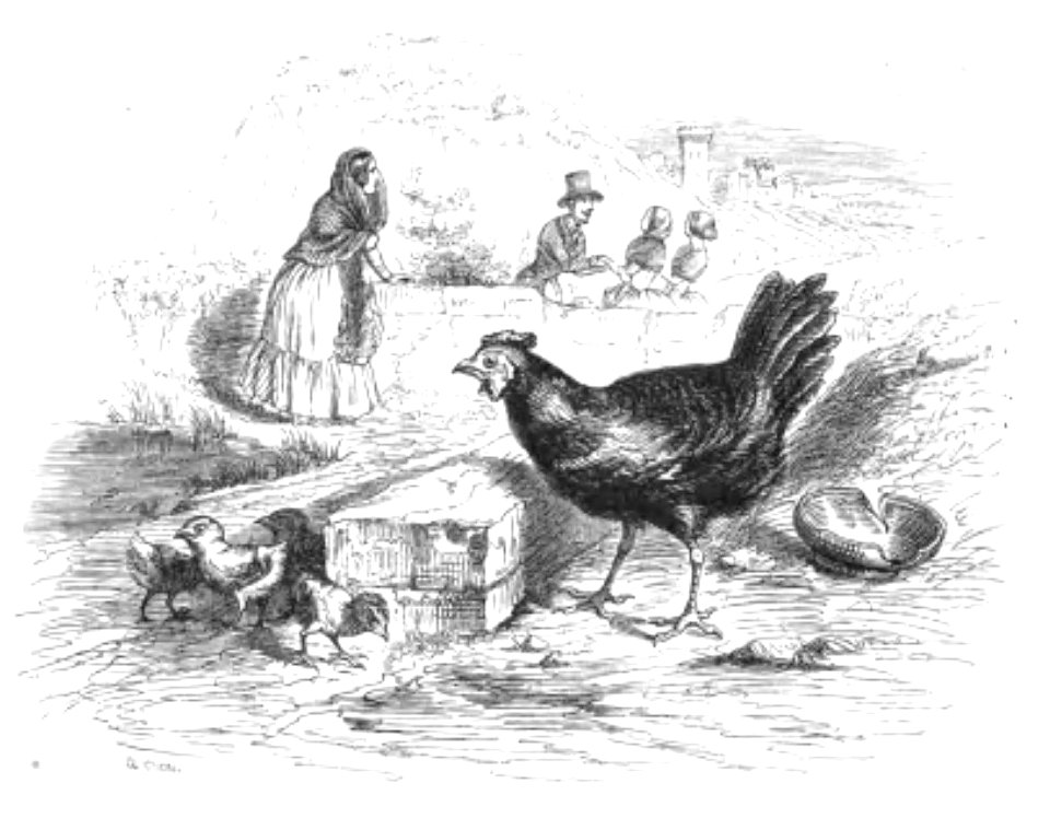 Grandville - Cent Proverbes, 1845 (page 438 crop)