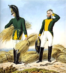 Grande Armée - 23rd Regiment of Dragoons