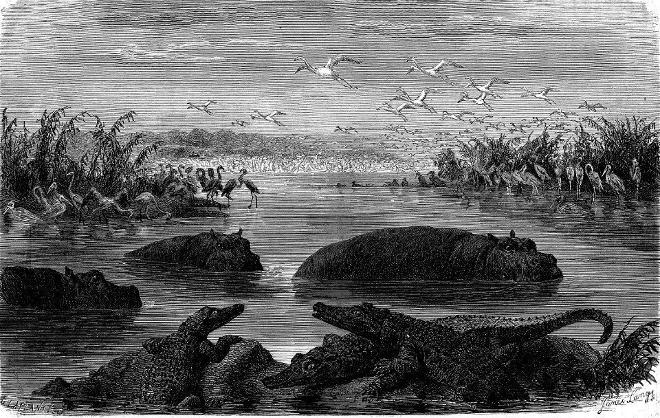 Grand étang près de Pongola