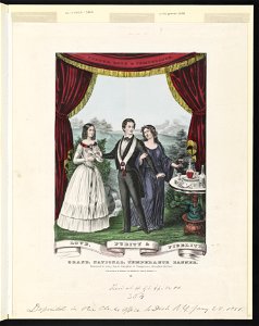 Grand, national, temperance banner- dedicated to every son & daughter of temperance, throughout the union - lith. & pub. by N. Currier. LCCN2001702120