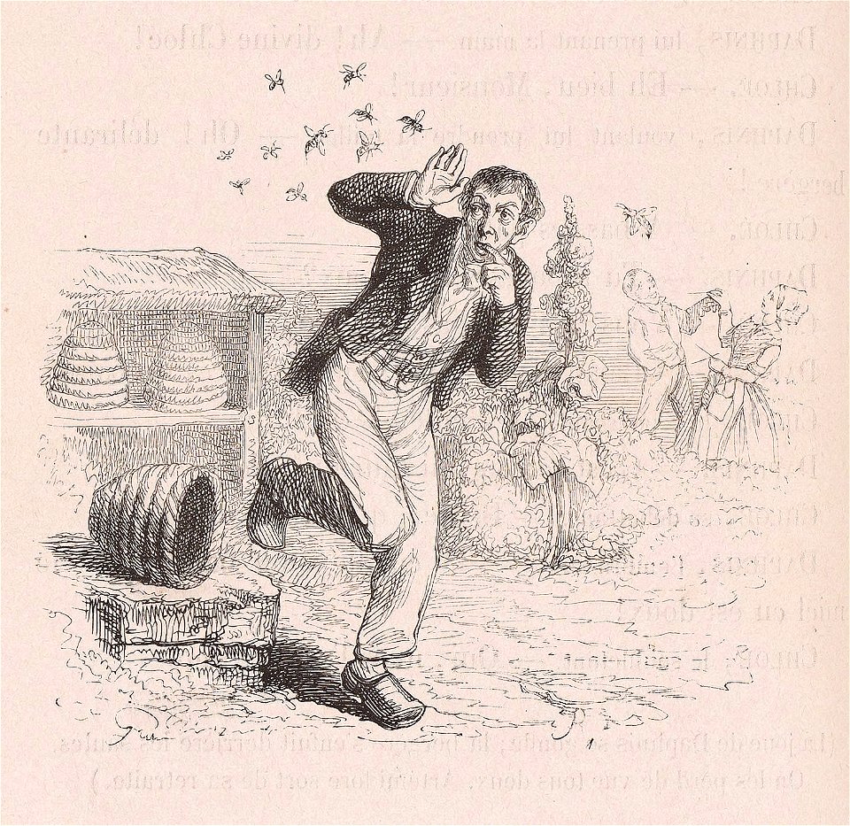 Grandville - Le miel est doux mais l'abeille pique