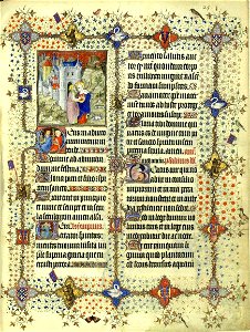 Grandes Heures du duc de Berry (BNF latin919) fol. 24r (page)