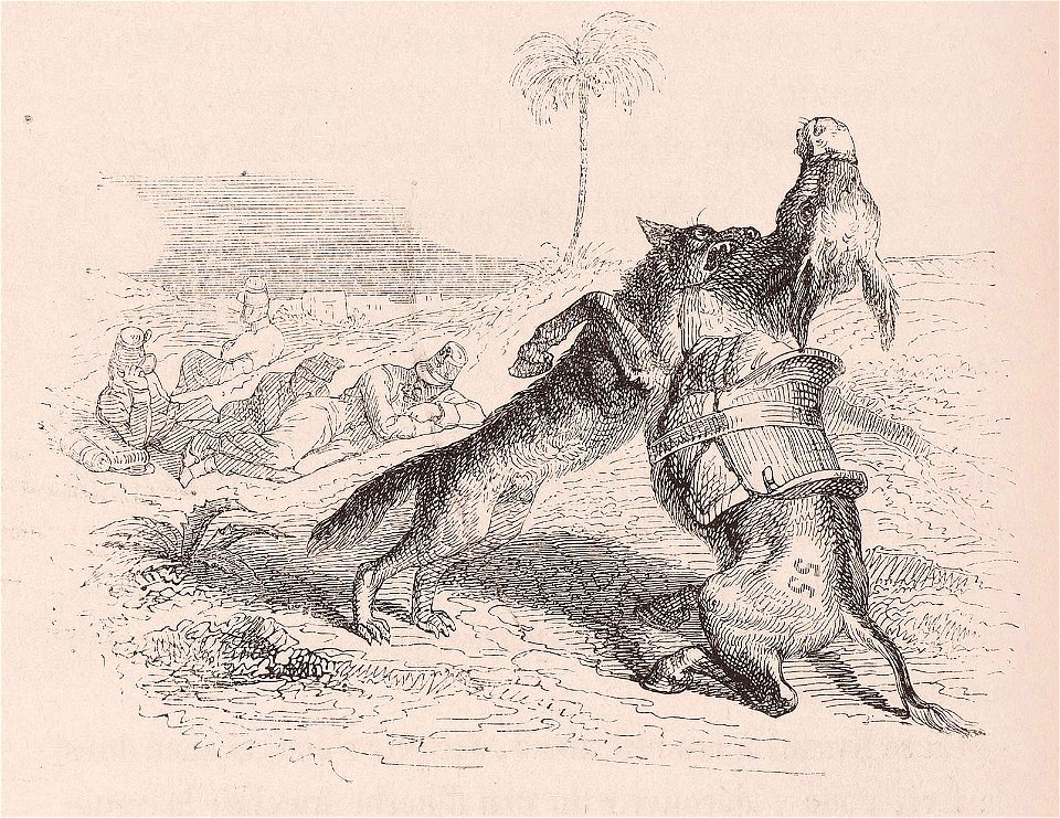 Grandville - L'ane de plusieurs les loups le mangent