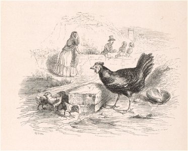 Grandville - Là où sont les poussins la poule a des yeux