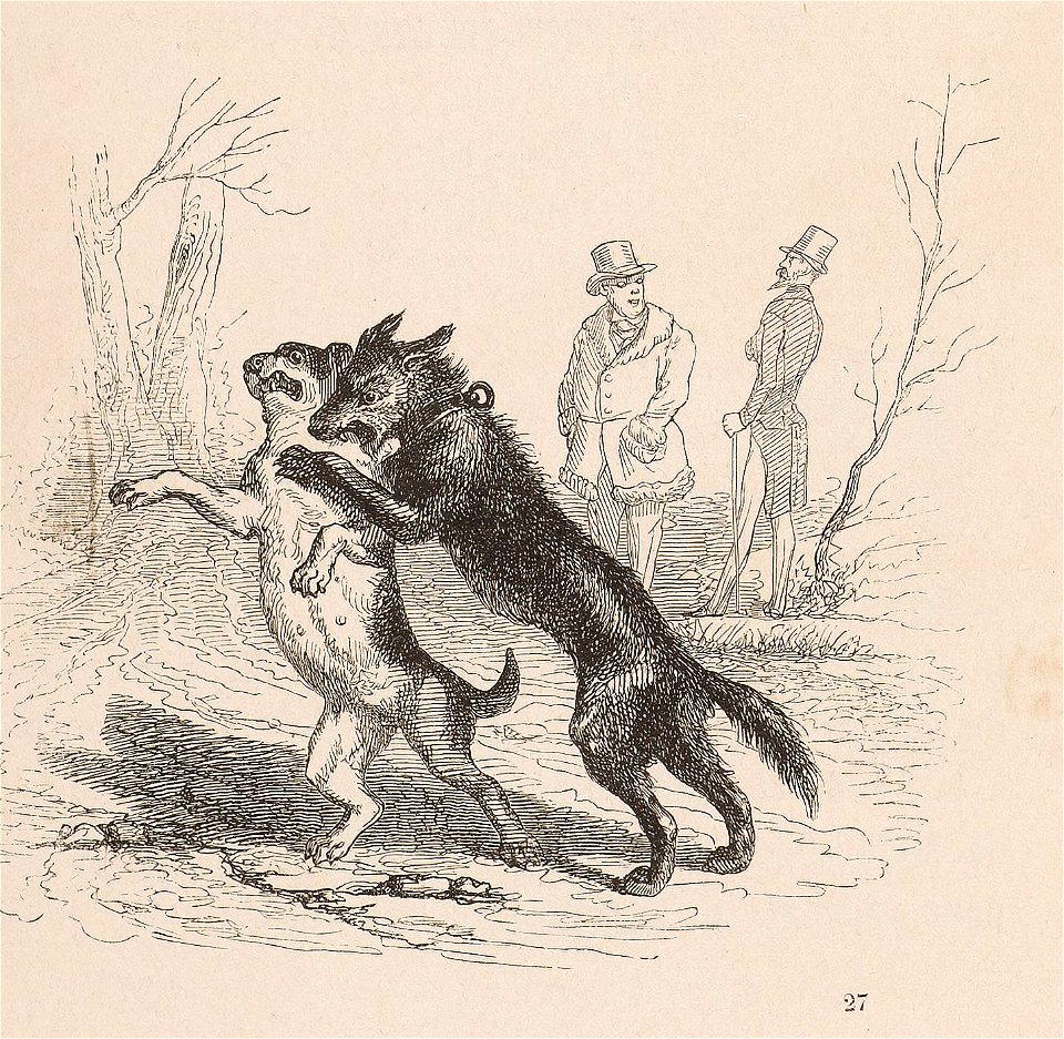 Grandville - De maigre poil âpre morsure