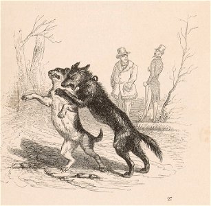Grandville - De maigre poil âpre morsure