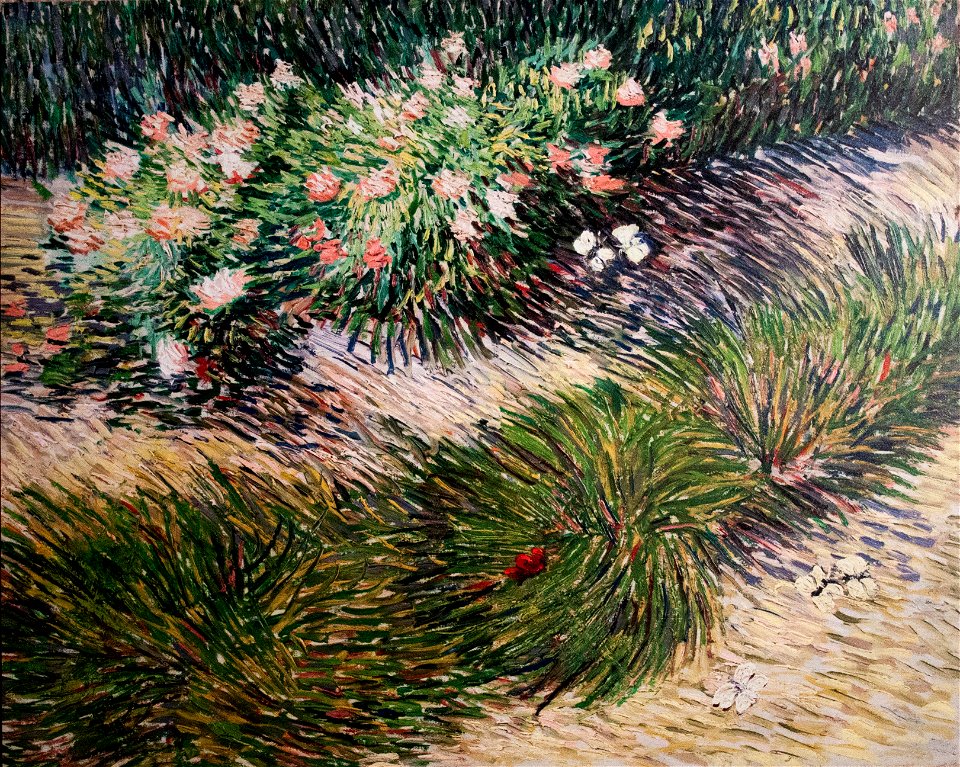 Grass and Butterflies (JH 1676) - My Dream