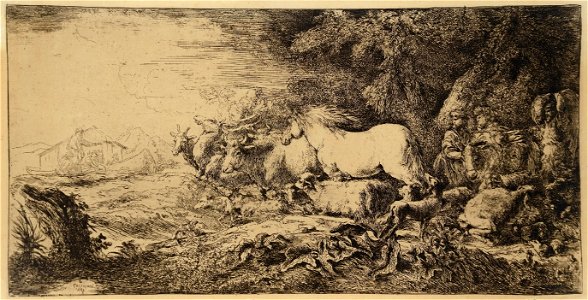 Grechetto - Arca de Noé