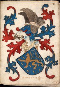 Graue van Nassou - Graaf van Nassau - Count of Nassau - Wapenboek Nassau-Vianden - KB 1900 A 016, folium 35r