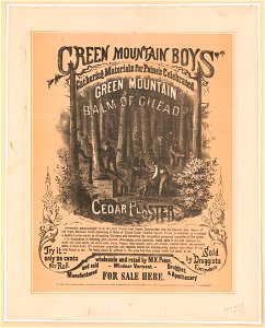 Green mountain boys gathering materials for Paine's celebrated green mountain balm of Gilead and cedar plaster. For sale here - W.A. King del. LCCN2003666971