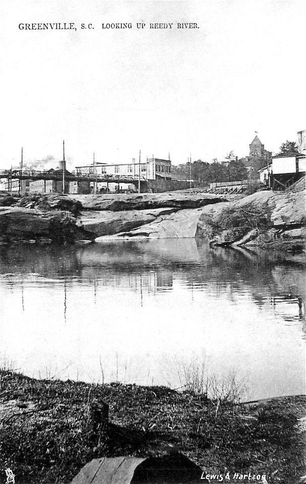 Greenville - Looking up Reedy