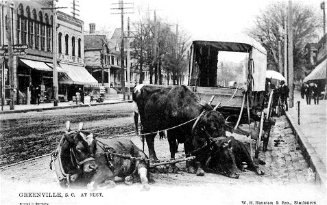 Greenville - taking a rest