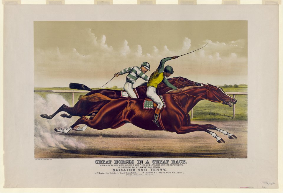 Great horses in a great race - J. Cameron. LCCN2006676683