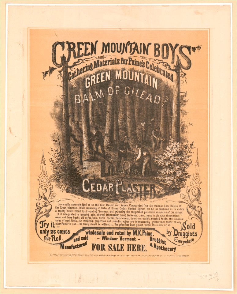 Green mountain boys gathering materials for Paine's celebrated green mountain balm of Gilead and cedar plaster. For sale here - W.A. King del. LCCN2003666971