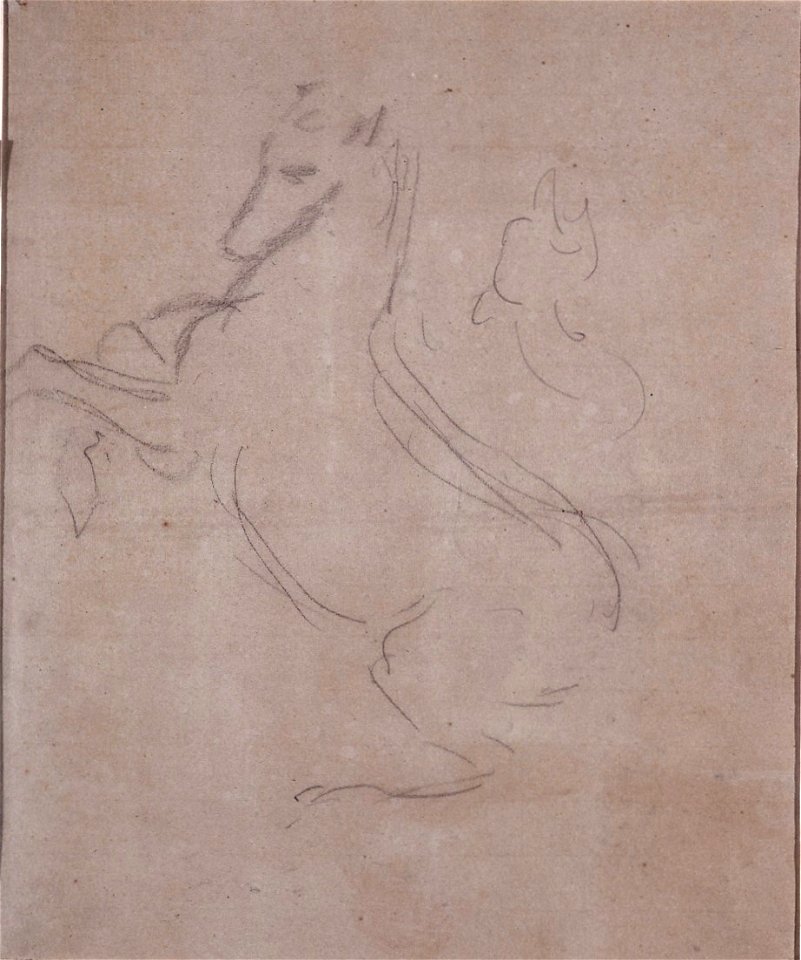 Fortuny, Apunt d'un cavall (304 b D)