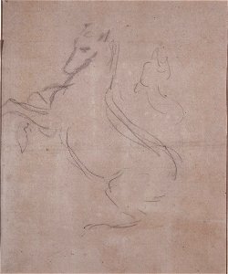 Fortuny, Apunt d'un cavall (304 b D)
