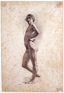 Fortuny, Nu masculí de perfil (319 D)
