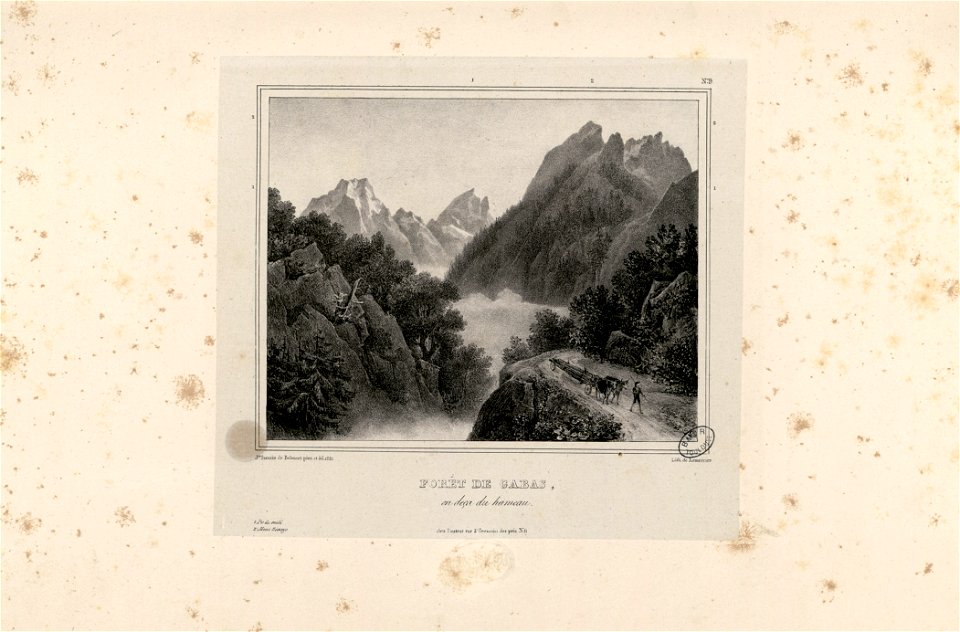 Forêt de Gabas, en deça du hameau - Fonds Ancely - B315556101 A SARAZINDEBELMONT 009