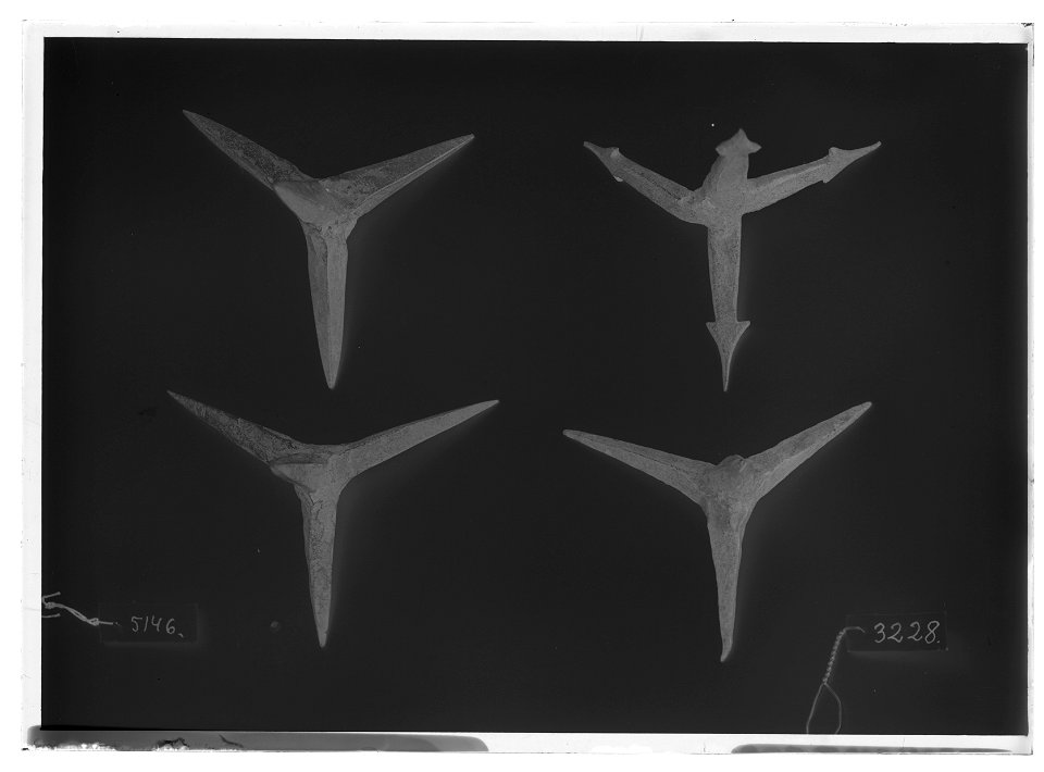 Fotangel - Livrustkammaren - 26263-negative