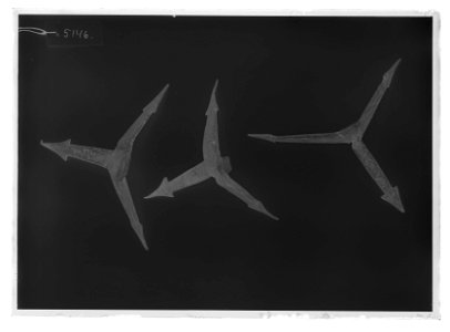 Fotangel - Livrustkammaren - 69080-negative