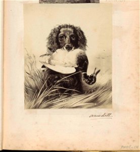 Fotoreproductie van (vermoedelijk) een prent naar een schilderij van Richard Ansdell