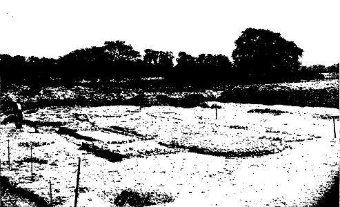 Foundation of the Romano-British Church at Silchester from the West