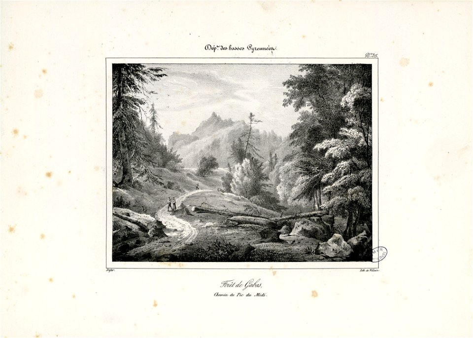 Forêt de Gabas, Chemin du Pic du Midi (Basses Pyrénées) - Fonds Ancely - B315556101 A DEFER 038