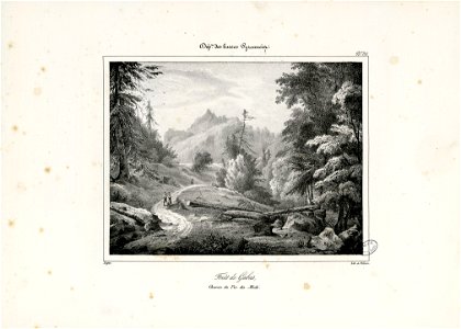 Forêt de Gabas, Chemin du Pic du Midi (Basses Pyrénées) - Fonds Ancely - B315556101 A DEFER 038