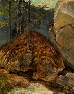 Carl Spitzweg - Ölstudie mit moosbewachsenem Felsen