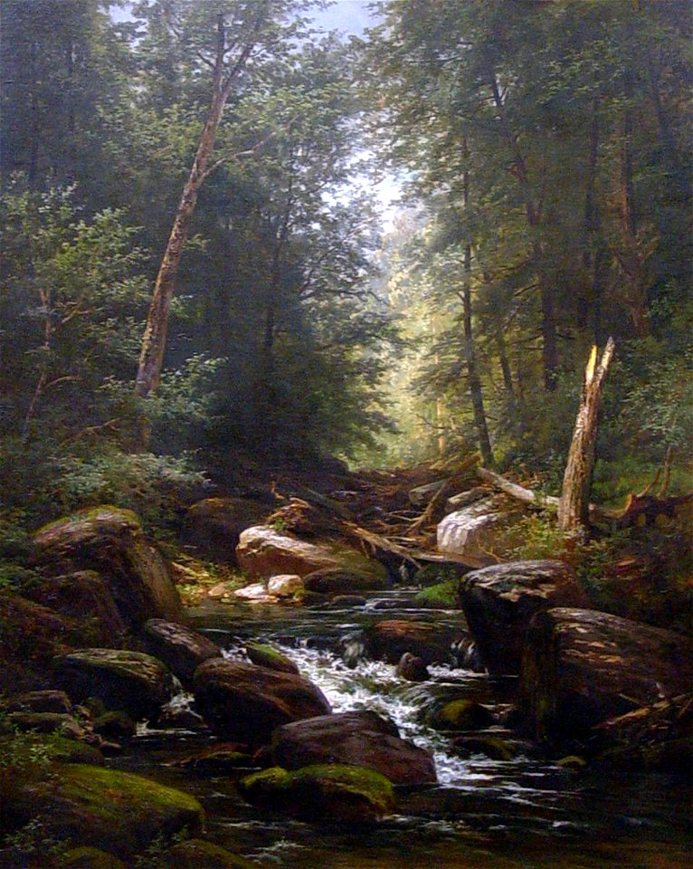 Carl Weber - The Trout Stream (also known as The Home of the Trout and Trout Stream Near Dingman’s Ferry) - 1926.555.1 - Reading Public Museum