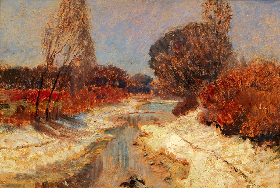 Carl Weiss Donau-Au