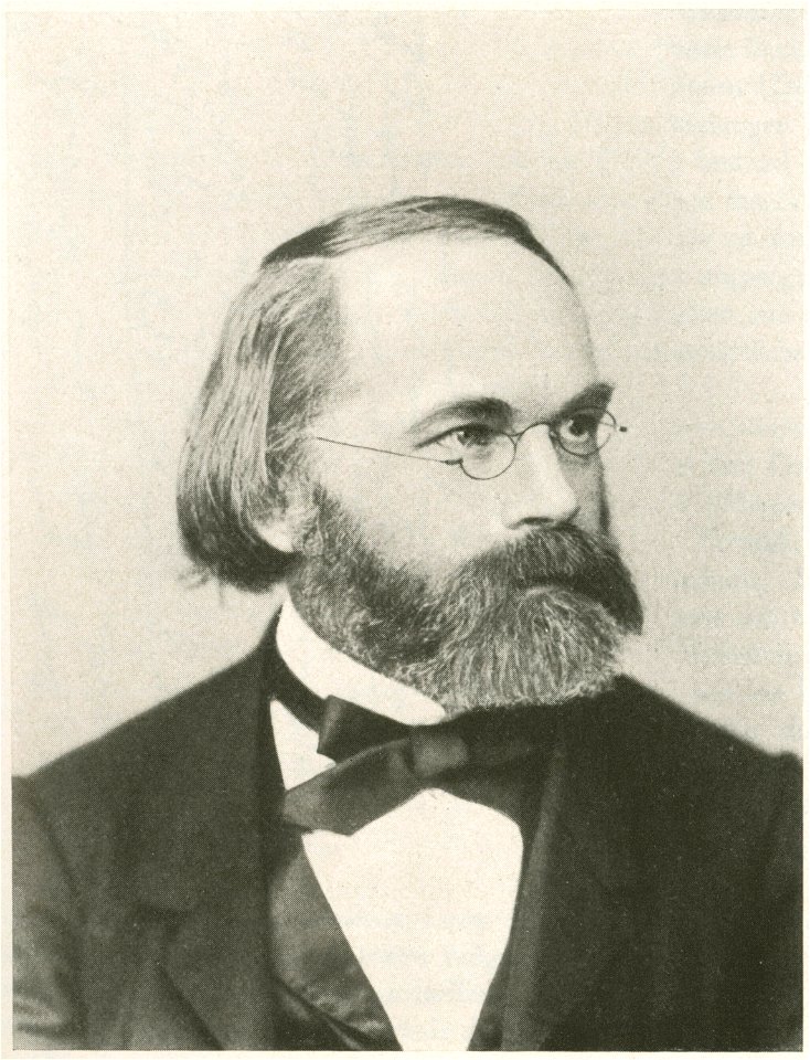 Carl Wilhelm Nägeli (1817-1891)