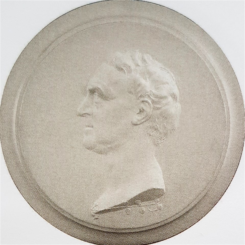 Carl von Linné x JT Sergel gips
