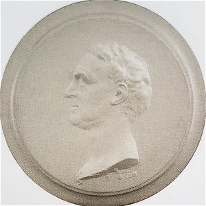 Carl von Linné x JT Sergel gips