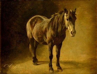 Carl Steffeck Pferdeportrait